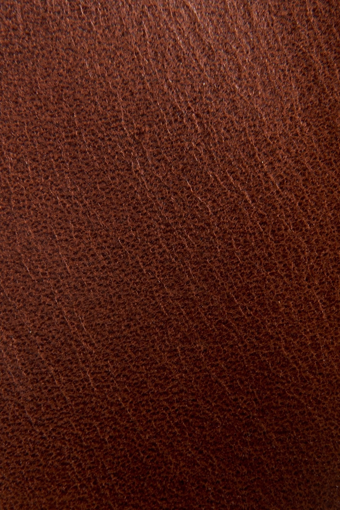 Griffin Chelsea - Pre-Loved