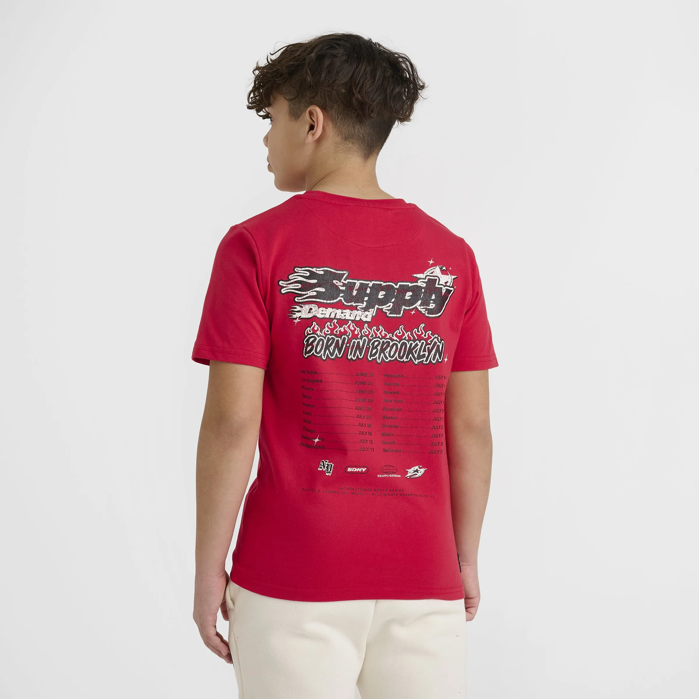 Supply & Demand Junior Boys' Martinez Tee Red / Black